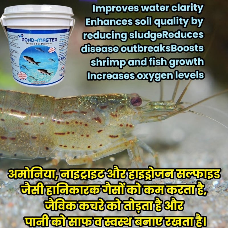 PONDMASTER Water & Soil Probiotics for Aquaculture Natural Pond and Bio Floc RAS - Image 5
