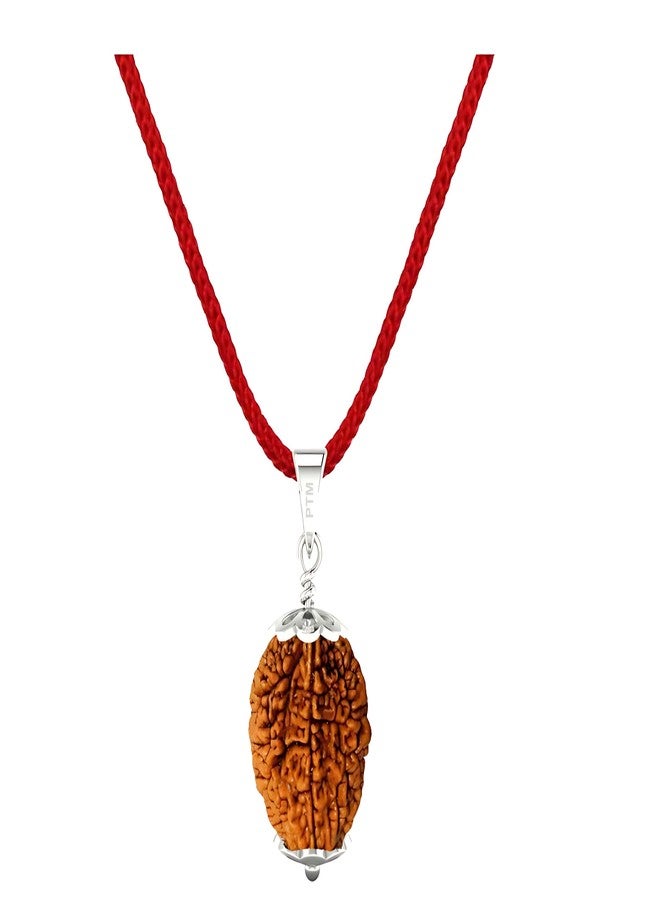 PTM 2 mukhi (Two face) Astrological Original Certified Natural Rudraksha 925 BIS Hallmark Sterling Silver Cap Pendant - Image 1