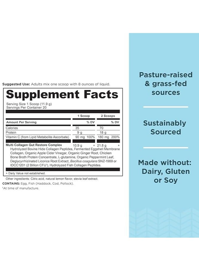 Collagen Powder Protein, Multi Collagen Protein, Hydrolyzed Collagen Peptides Supports Skin And Nails, Joint Supplement (Gut Restore, 20 Servings)