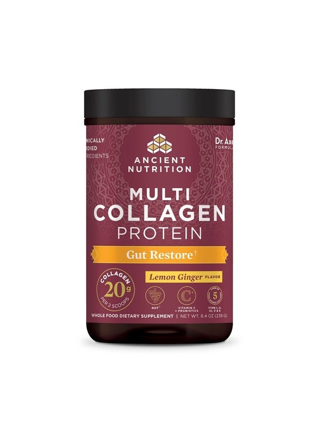 Collagen Powder Protein, Multi Collagen Protein, Hydrolyzed Collagen Peptides Supports Skin And Nails, Joint Supplement (Gut Restore, 20 Servings)