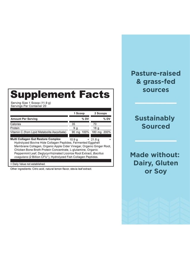 Collagen Powder Protein, Multi Collagen Protein, Hydrolyzed Collagen Peptides Supports Skin And Nails, Joint Supplement (Gut Restore, 20 Servings)