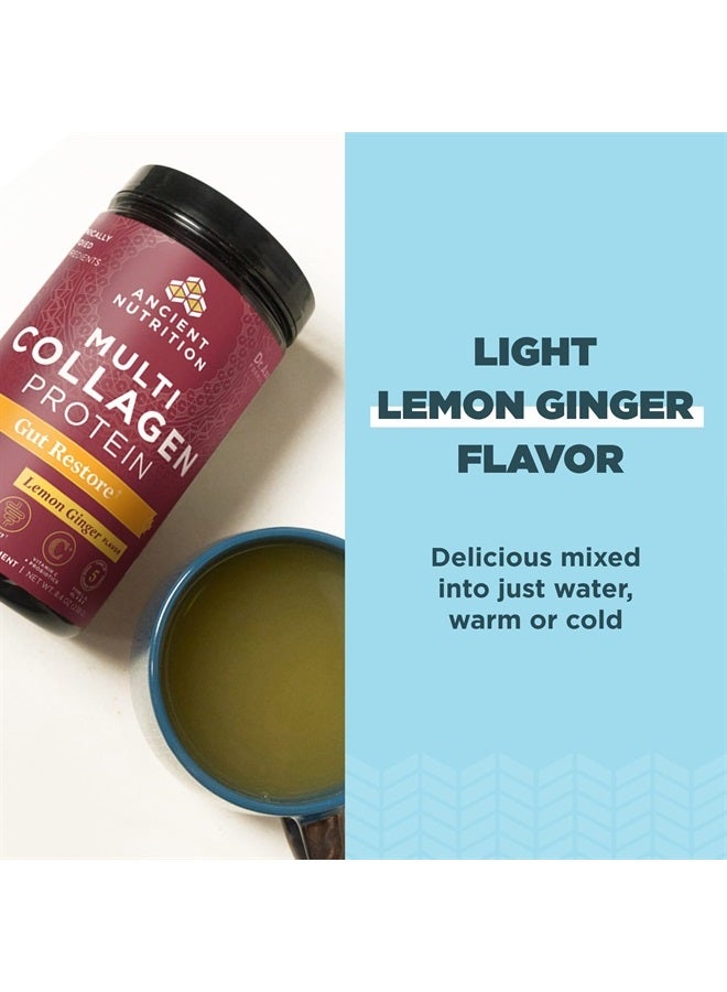 Collagen Powder Protein, Multi Collagen Protein, Hydrolyzed Collagen Peptides Supports Skin And Nails, Joint Supplement (Gut Restore, 20 Servings)