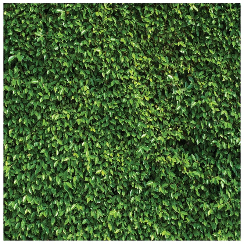 WOLADA Grass Wall Backdrop Green Leaf Banner 8x8FT 10923