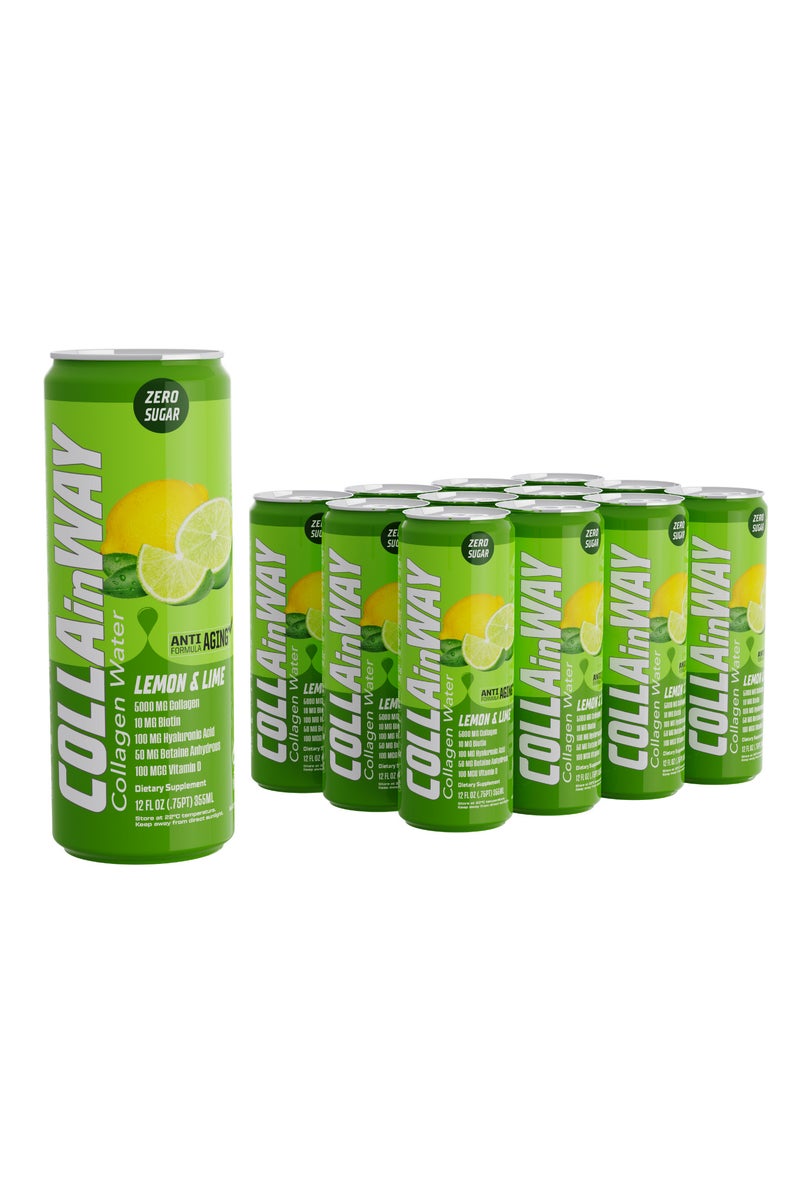 كولانواي كولاجين كولاين واي ٥٠٠٠ ملغ -موهيتو خالي من السكر، ١٠ ملغ بيوتين، ١٠٠ ملغ حمض الهيالورونيك، ١٥٠ ملغ إل-جلوتاثيون، ١٠٠ ميكروغرام، إل-كارنيتين، ٠.٥ غرام، فيتامين د، كالسيوم - مرطب مضاد للشيخوخة (عبوة من ١٢ قطعة) - Image 1