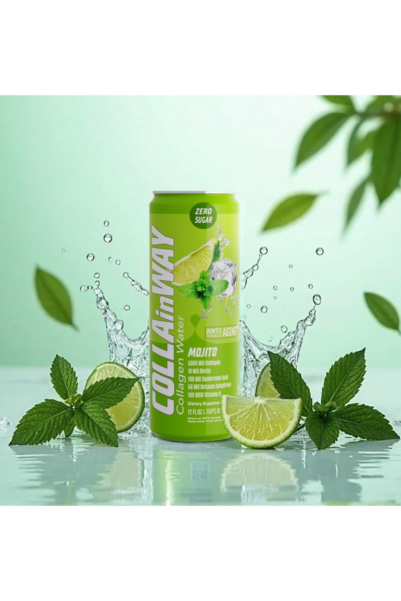 كولانواي كولاجين كولاين واي ٥٠٠٠ ملغ -موهيتو خالي من السكر، ١٠ ملغ بيوتين، ١٠٠ ملغ حمض الهيالورونيك، ١٥٠ ملغ إل-جلوتاثيون، ١٠٠ ميكروغرام، إل-كارنيتين، ٠.٥ غرام، فيتامين د، كالسيوم - مرطب مضاد للشيخوخة (عبوة من ١٢ قطعة) - Image 2