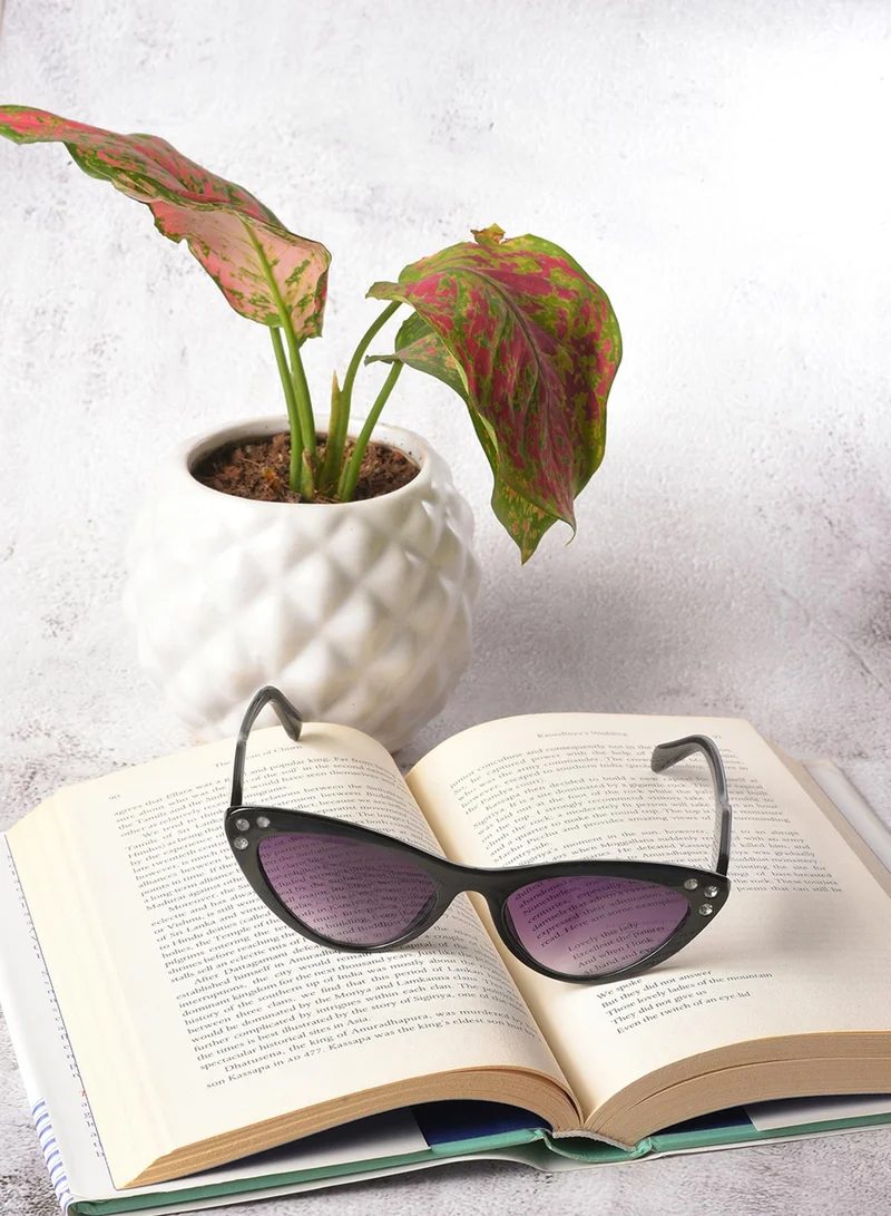 Haute Sauce Black Lens Black Cateye Sunglasses