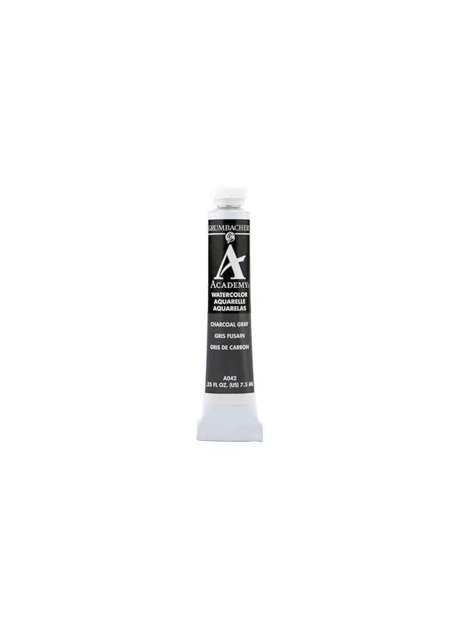 Grumbacher Academy Watercolor Paint, 7.5ml/0.25 Ounce, Charcoal Gray (A042) - Image 1