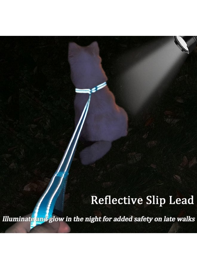 مقود تدريب للكلاب من MayPaw Slip Lead، بعرض 3/4 بوصة من النايلون العاكس مع مقبض مبطن، مقود مسطح للحيوانات الأليفة بطول 6 أقدام لمصففي الشعر والملاجئ ومراكز الإنقاذ والأطباء البيطريين أو دور رعاية الكلاب النهارية - Image 5