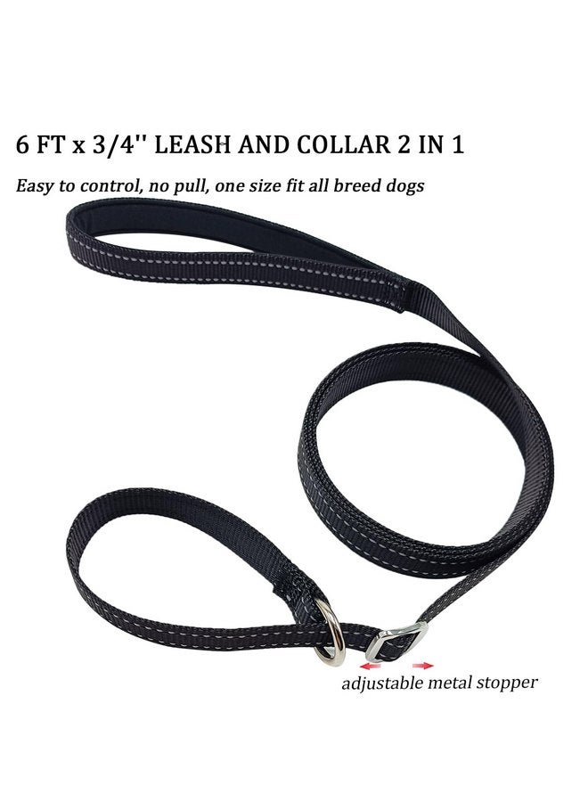 مقود تدريب للكلاب من MayPaw Slip Lead، بعرض 3/4 بوصة من النايلون العاكس مع مقبض مبطن، مقود مسطح للحيوانات الأليفة بطول 6 أقدام لمصففي الشعر والملاجئ ومراكز الإنقاذ والأطباء البيطريين أو دور رعاية الكلاب النهارية - Image 3