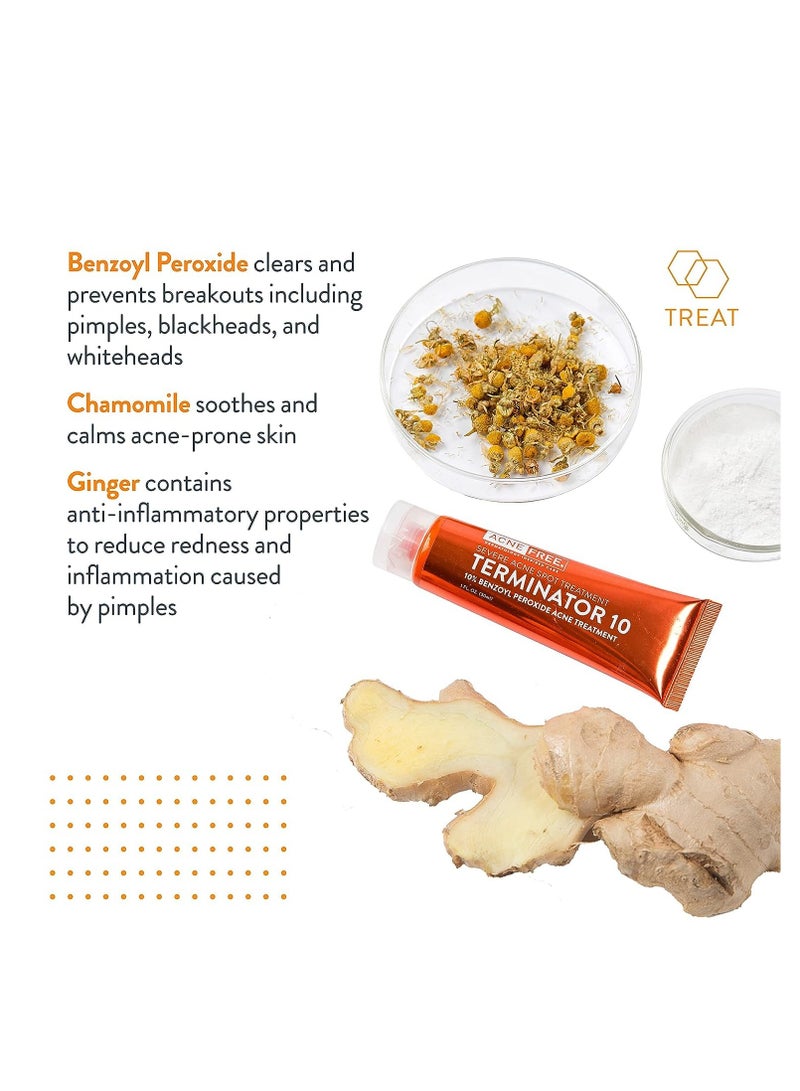 AcneFree كريم علاج حب الشباب AcneFree Terminator 10 Acne Spot Treatment بتركيز 10% من بنزويل بيروكسيد، 1 أونصة - عبوة من قطعة واحدة - Image 1