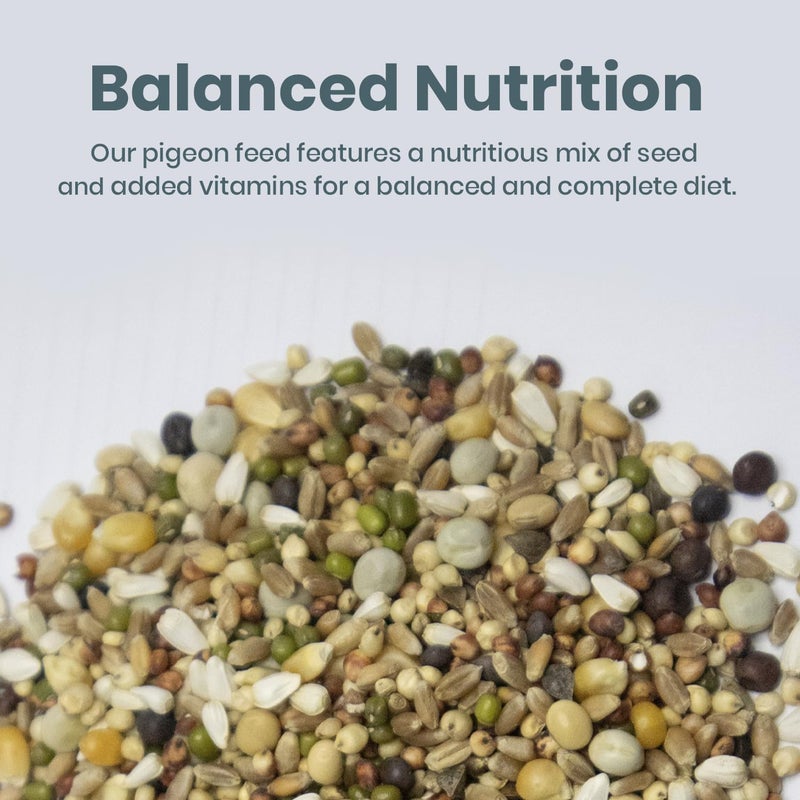 BRANDSFINITY Premium Bird Food For Pigeons - Image 2
