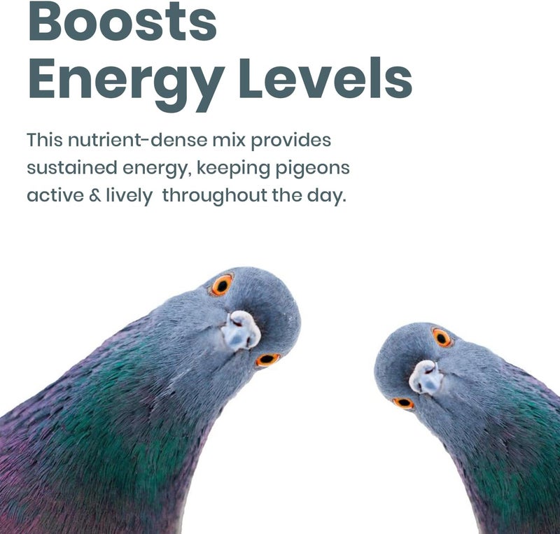 BRANDSFINITY Premium Bird Food For Pigeons - Image 5