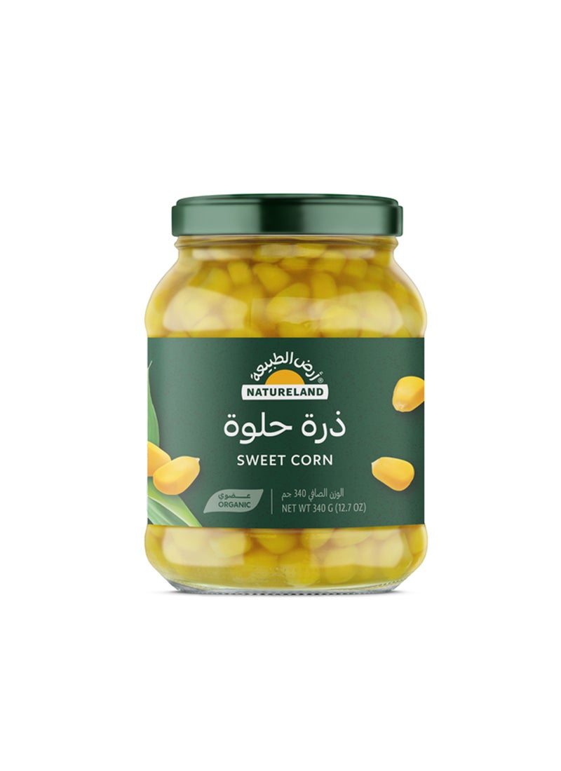 أرض الطبيعة ذرة حلوة 340جم - Image 1