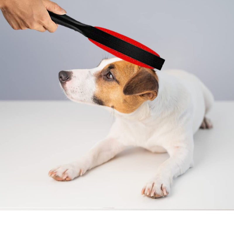 Trixie: - Double-Sided Lint Brush | Double Sided Grooming Brush for Lint Removal | Instant and Easy Way to Get rid of Pet Hair | Suitable for Cleaning Upholstery, Textiles and Other Fabrics - 26 cm - Image 4