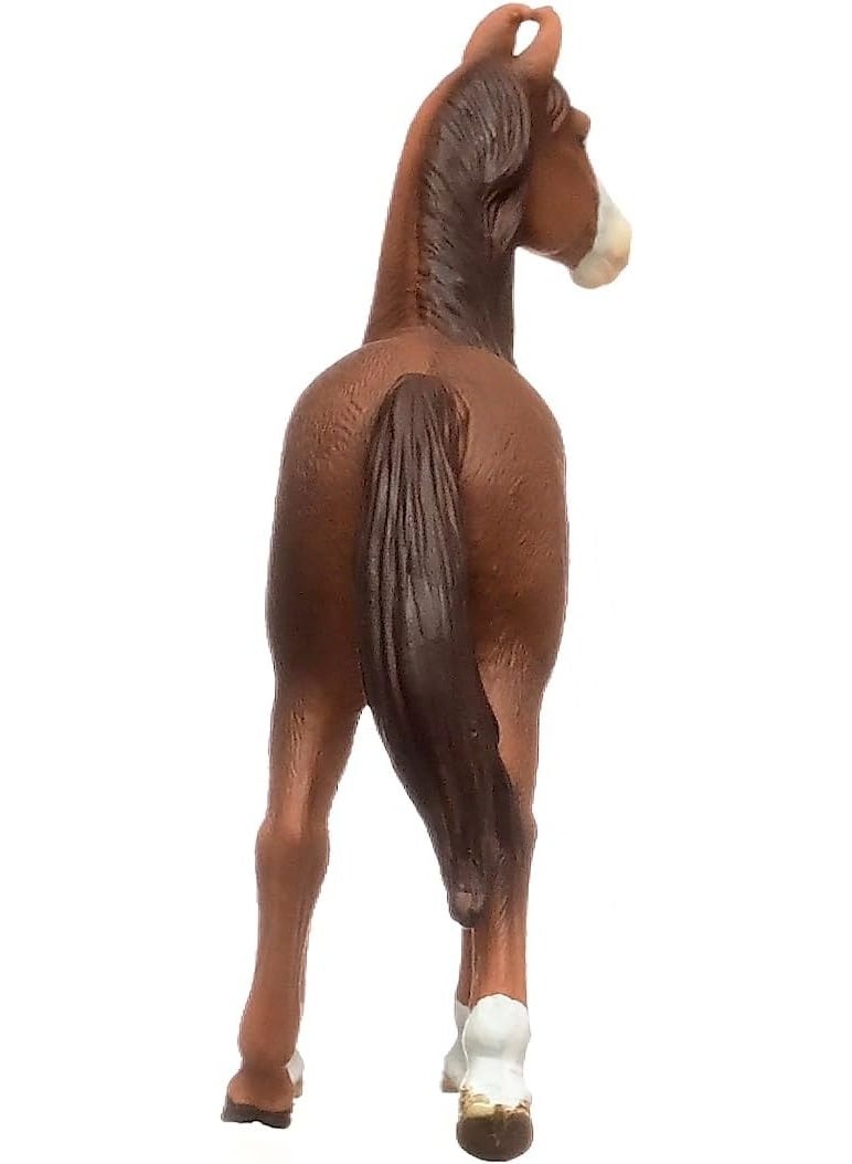 Schleich تمثال حصان مارواري أنثى من شلايش 14897 من نادي الخيول من عمر 5 سنوات، 4 × 12 × 12 سم - Image 5