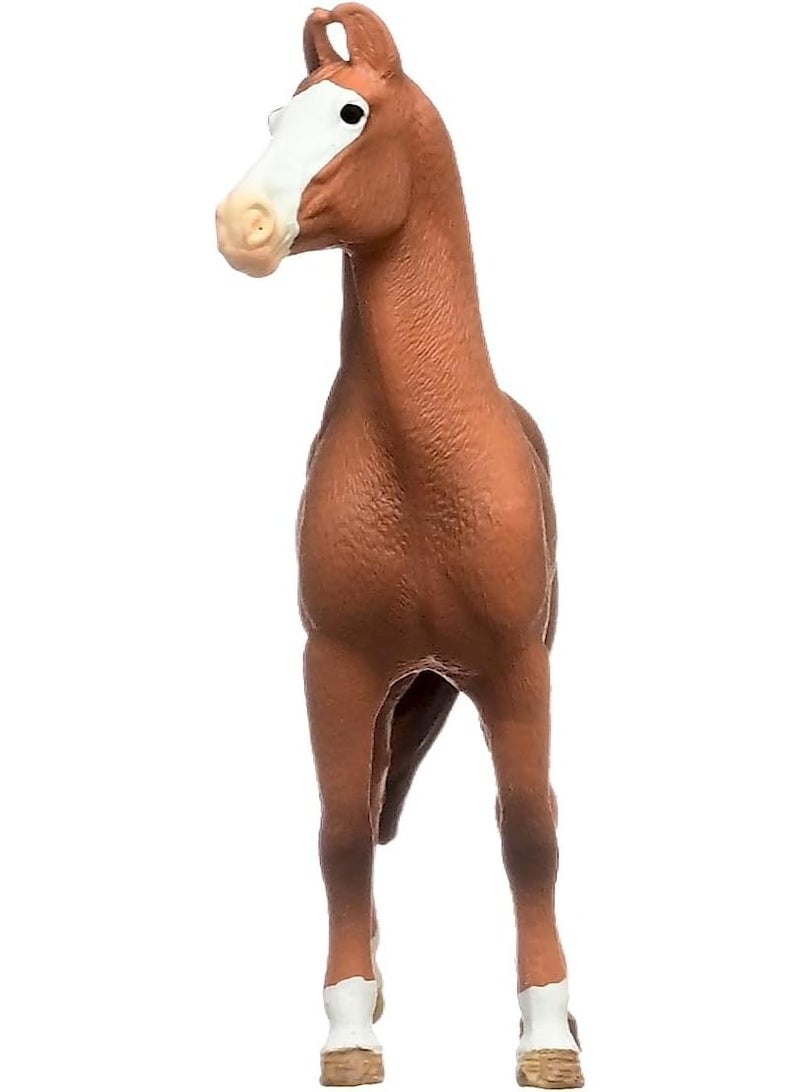 Schleich تمثال حصان مارواري أنثى من شلايش 14897 من نادي الخيول من عمر 5 سنوات، 4 × 12 × 12 سم - Image 3