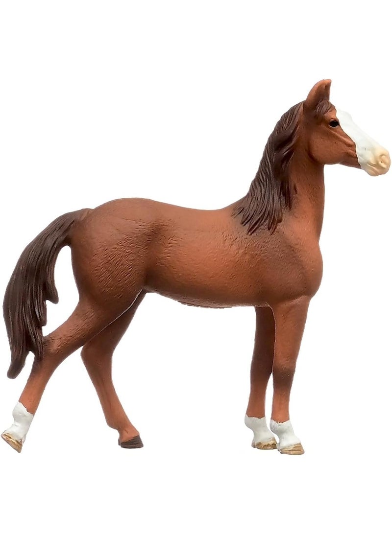 Schleich تمثال حصان مارواري أنثى من شلايش 14897 من نادي الخيول من عمر 5 سنوات، 4 × 12 × 12 سم - Image 4