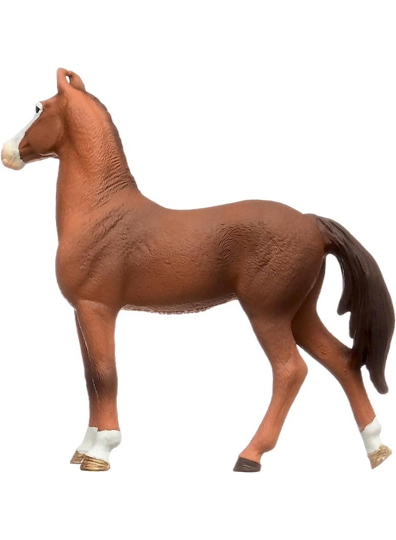 Schleich تمثال حصان مارواري أنثى من شلايش 14897 من نادي الخيول من عمر 5 سنوات، 4 × 12 × 12 سم - Image 1