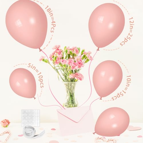 SCMDOTI Peach Blush Balloons Peach Blush Balloons Different Sizes 18 12 10 5 Inches Nude Balloon Garland Arch for Safari Party Birthday Baby Shower Bridal Shower Neutral Decorations - Image 5