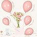 SCMDOTI Peach Blush Balloons Peach Blush Balloons Different Sizes 18 12 10 5 Inches Nude Balloon Garland Arch for Safari Party Birthday Baby Shower Bridal Shower Neutral Decorations - Image 4