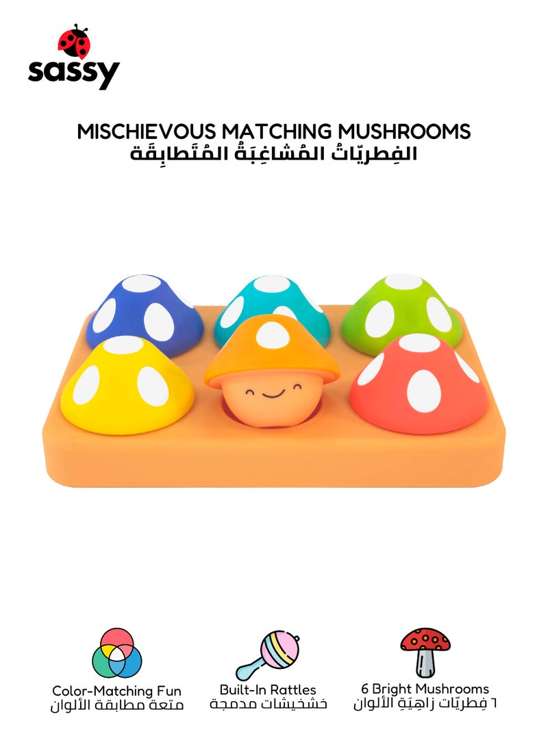 Sassy Color & Emotion Matching Sorting Board Toy for Toddlers | STEM Social Emotional Learning Playset | Fine Motor Skill Development | 12+ Months | 23 x 15 x 9 CM - Image 1