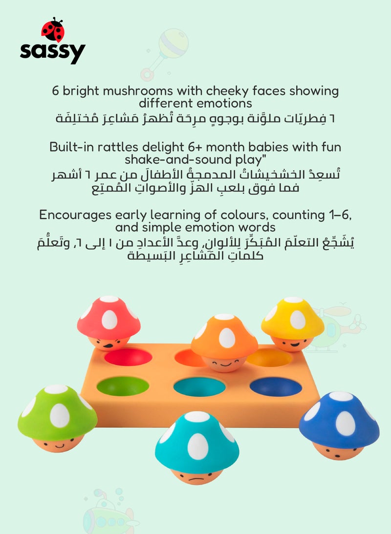 Sassy Color & Emotion Matching Sorting Board Toy for Toddlers | STEM Social Emotional Learning Playset | Fine Motor Skill Development | 12+ Months | 23 x 15 x 9 CM - Image 5