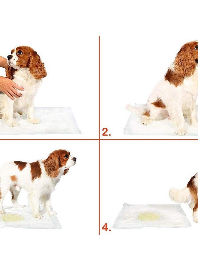 100Pcs 90X60Cm Dog Training Pads/Training Pee And Potty Pads With Quick Drying Surface And Absorbent Core/Suitable For Small/Large Breed - Image 2