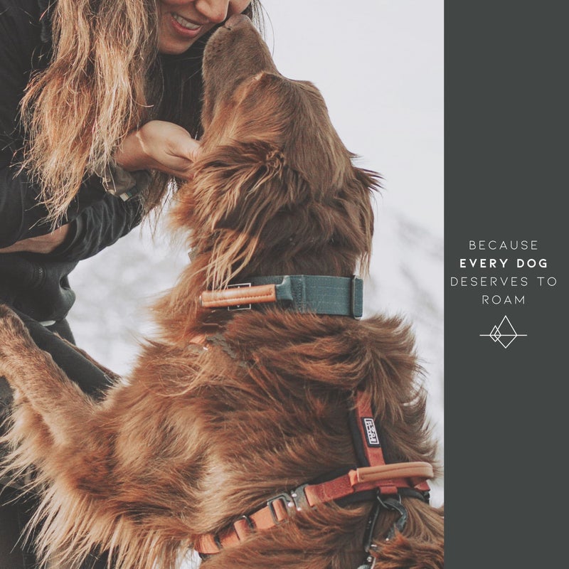 Roam Made to ROAM Premium Dog Collar - Adjustable Heavy Duty Nylon Collar with Quick-Release Metal Buckle (Montana Moonrise, Classic Size 3) - Image 4