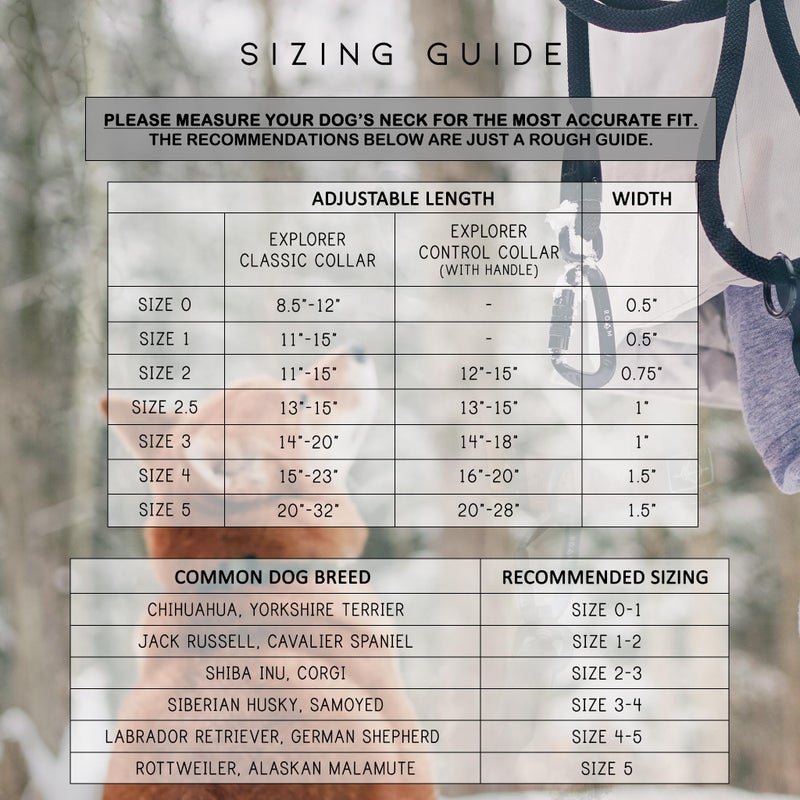 Roam Made to ROAM Premium Dog Collar - Adjustable Heavy Duty Nylon Collar with Quick-Release Metal Buckle (Montana Moonrise, Classic Size 3) - Image 5