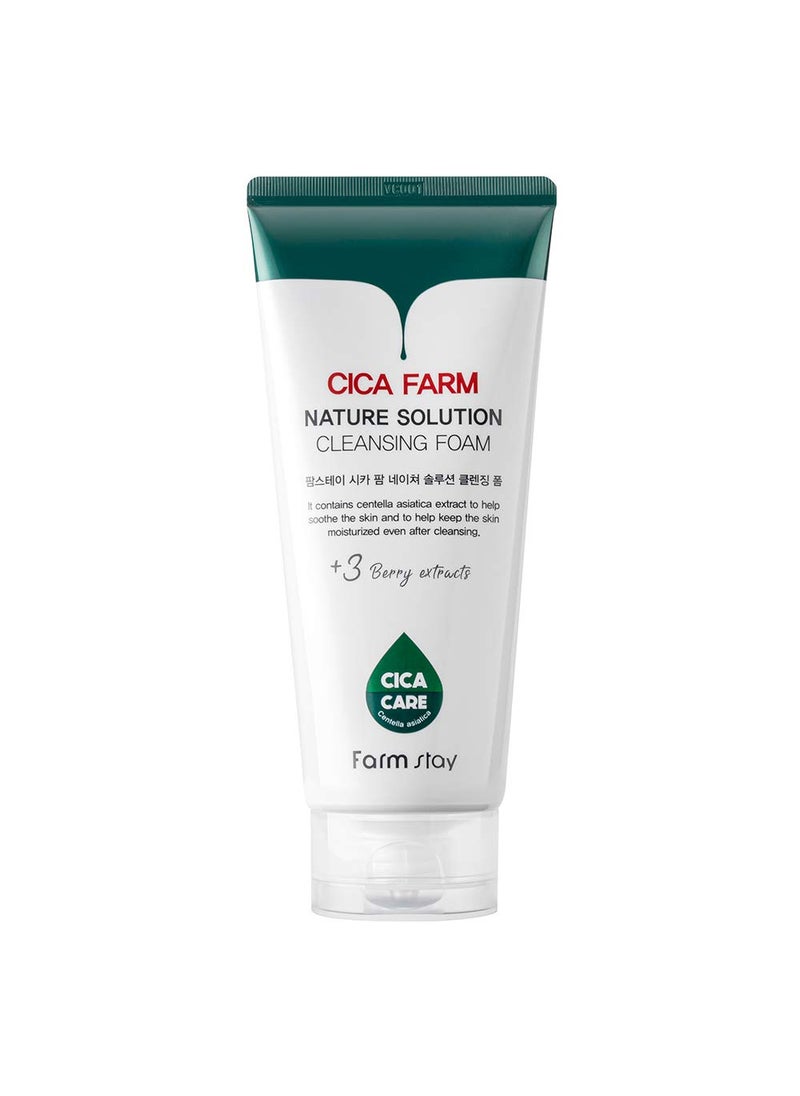 FARMSTAY - FARMSTAY CICA FARM NATURE SOLUTION CLEANSING FOAM - Image 1