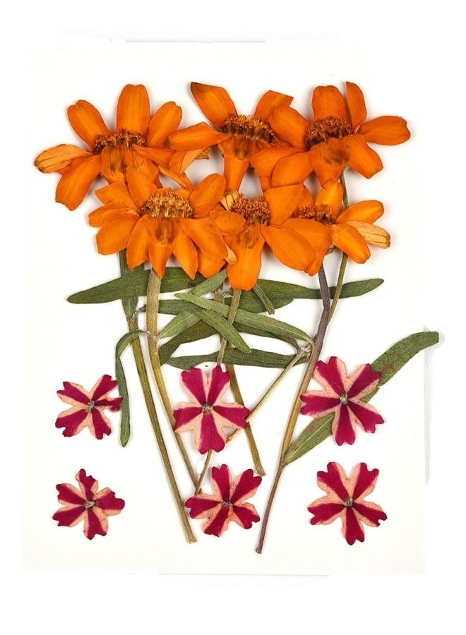 Graffiti Resin Real Dried Flower Natural Dry Plants For Candle Epoxy Resin Pendant Necklace Jewelry Making Craft Diy Accessori  - Image 1