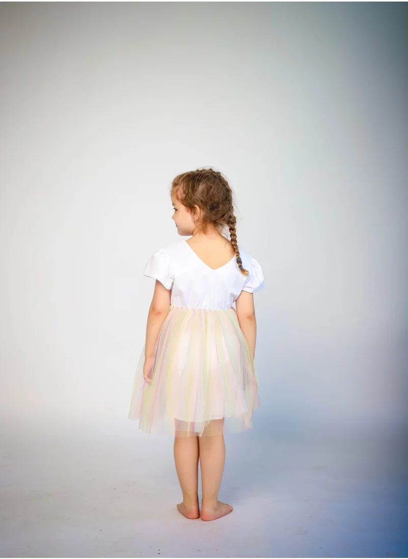 D'Daniela Butterfly Multi Color Dress