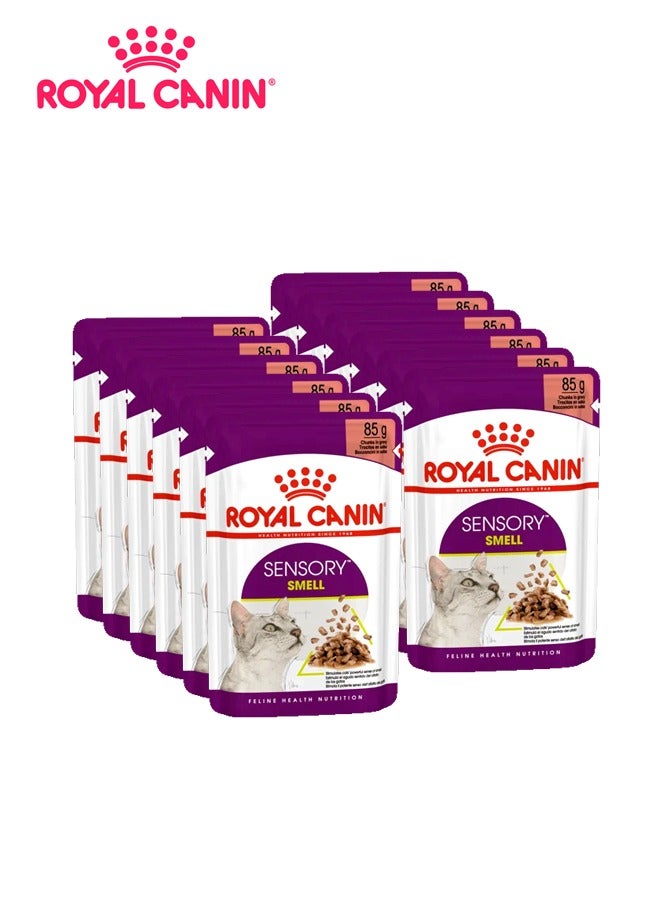 ROYAL CANIN طعام رطب بنكهة صحية للقطط - 85 غ (عبوة من 12) 