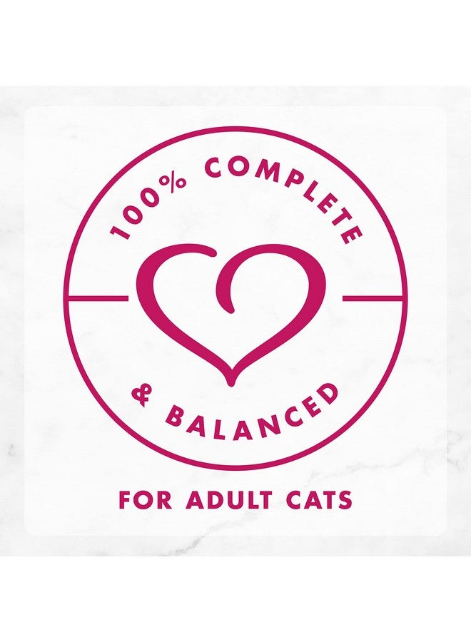 PURINA Fancy Feast Delights Canned Wet Cat Food, Grilled Chicken & Cheddar Cheese Feast in Gravy, Gourmet Cat Food for Adult Cats, 3-Ounce Cans (Pack of 12) - Image 4