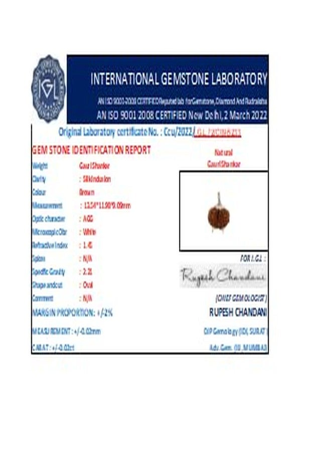 IRIS GEMS Gauri Shankar Rudraksha أصلي نيبالي معتمد مقاس كبير नेपाली गौरी शंकर रुप्राक्ष Gowri Shankar Rudraksha نيبال جوري شانكار Shiv Gauri/Shiv Shakti Rudraskha حبة مقدسة نقية Rudraksha - Image 4