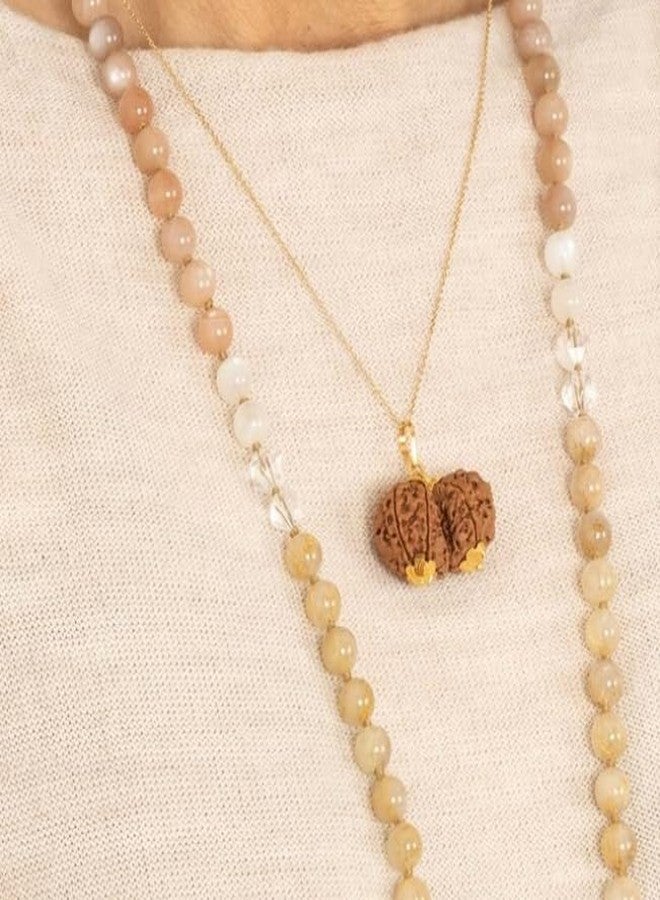 IRIS GEMS Gauri Shankar Rudraksha أصلي نيبالي معتمد مقاس كبير नेपाली गौरी शंकर रुप्राक्ष Gowri Shankar Rudraksha نيبال جوري شانكار Shiv Gauri/Shiv Shakti Rudraskha حبة مقدسة نقية Rudraksha - Image 3