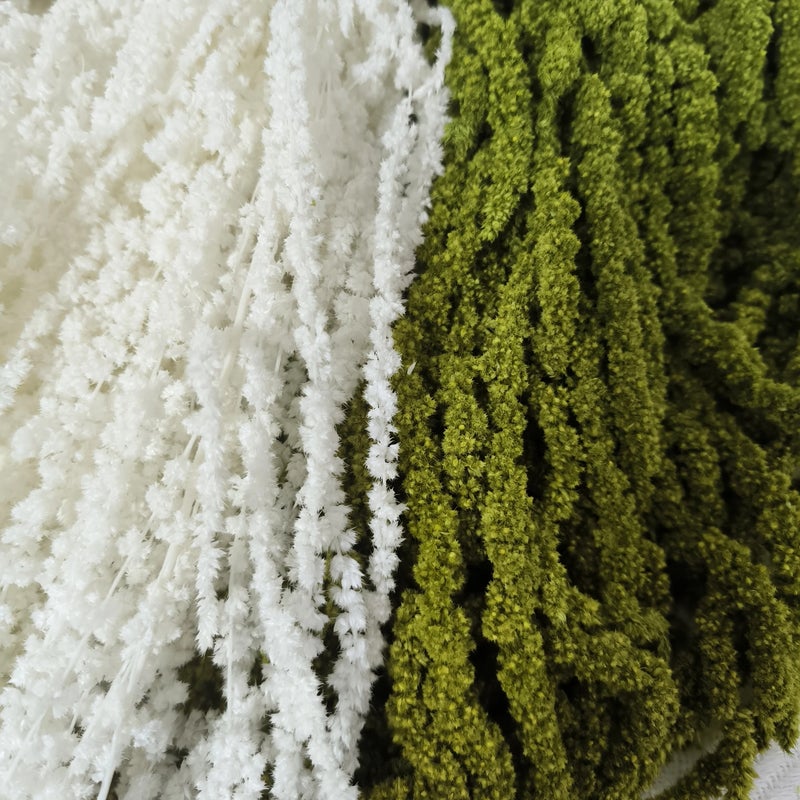 Bluejw Red White Black Dried Amaranthus - Frozen Preserved Fresh Real Amaranthus Dry Flower for Wedding Events DIY Floral Arrangements & Home Decor - Image 4