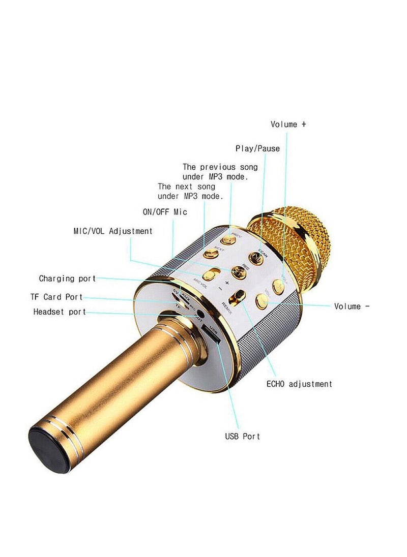 ميكروفون كاريوكي يعمل بالبلوتوث محمول لاسلكي مع مشغل USB WS-858 - pzsku/ZC85084BDC0A8C7277388Z/45/_/1716587704/51023c46-a11c-4d47-8711-1eb9d0d9d069