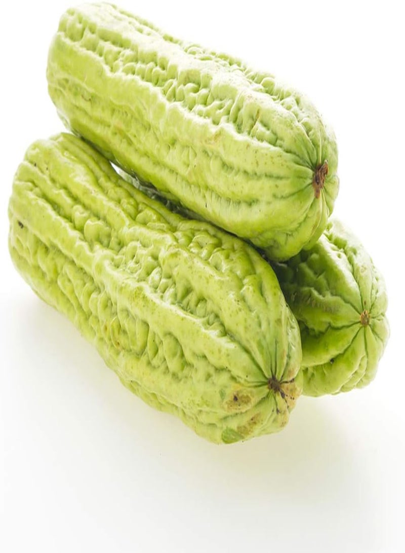 GGOOT 50pcs Bitter Gourd Seeds Annual Climbing Non-GMO Vegetables for Planting That is Easy to Plant Ideal for Beginners and Professional Gardeners - Image 2