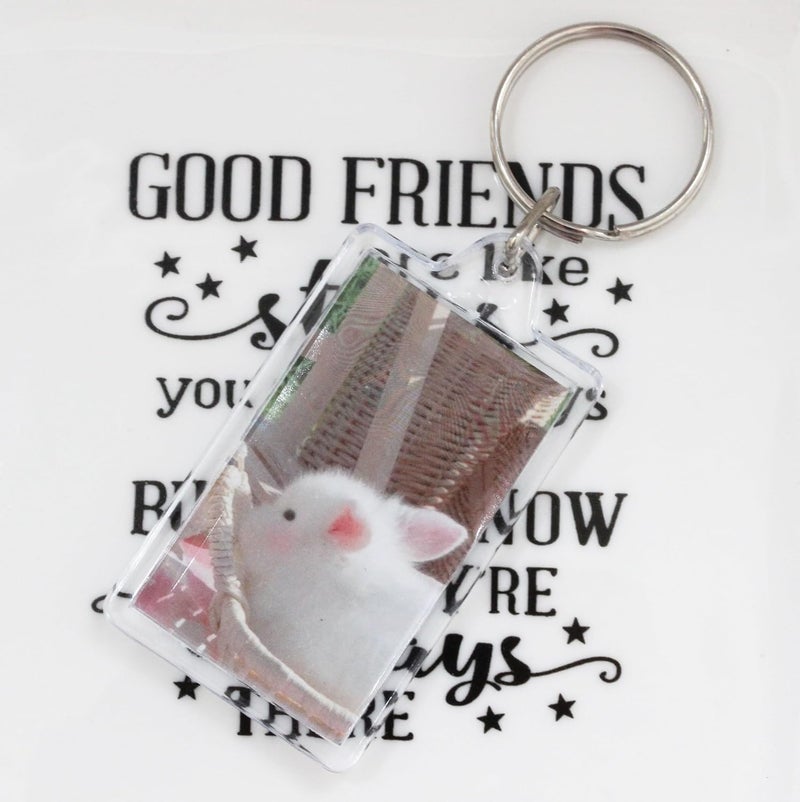 BetterJonny 20Pcs Acrylic picture Keychain Blanks Photo Keychain Clear in Photo Keychain Acrylic Picture Frame Keyrings - Image 4