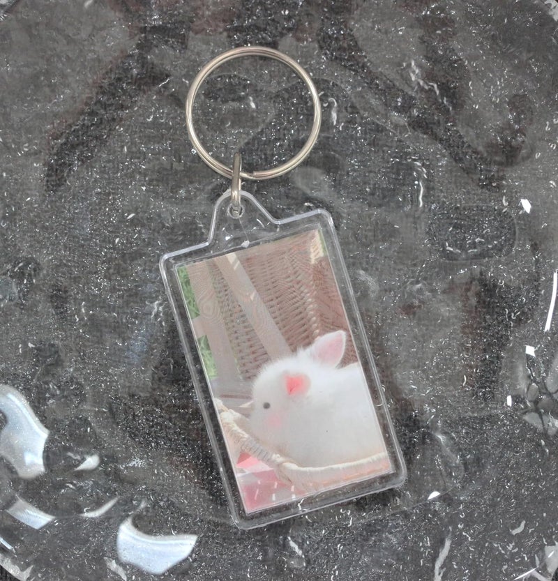 BetterJonny 20Pcs Acrylic picture Keychain Blanks Photo Keychain Clear in Photo Keychain Acrylic Picture Frame Keyrings - Image 3