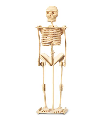 Puzzled 3D Puzzle Human Skeleton Wood Craft Construction Model Kit, Fun & Educational DIY Wooden Toy Assemble Model Unfinished Crafting Hobby Puzzle to Build & Paint for Decoration 50 Pieces Pack - Image 1