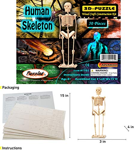 Puzzled 3D Puzzle Human Skeleton Wood Craft Construction Model Kit, Fun & Educational DIY Wooden Toy Assemble Model Unfinished Crafting Hobby Puzzle to Build & Paint for Decoration 50 Pieces Pack - Image 2