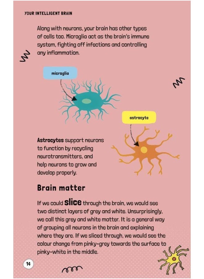 Very Short Introductions to Curious Young Minds: Your Intelligent Brain: and How You Use It  - Image 2