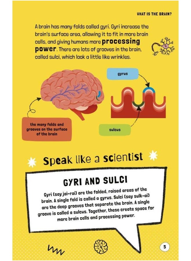 Very Short Introductions to Curious Young Minds: Your Intelligent Brain: and How You Use It  - Image 3