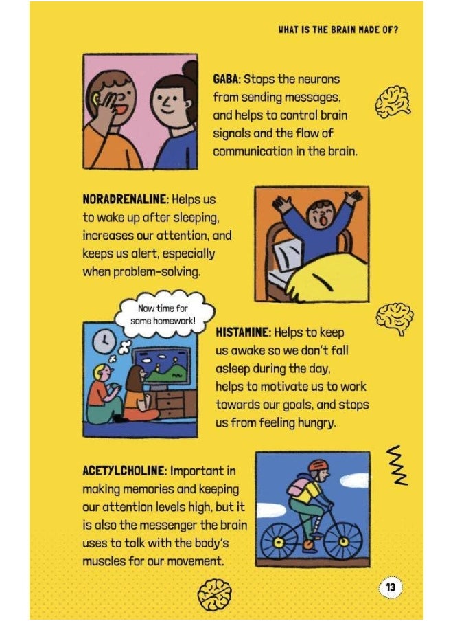 Very Short Introductions to Curious Young Minds: Your Intelligent Brain: and How You Use It  - Image 4