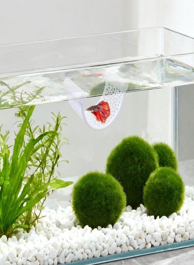 BingegePet Betta Fish Tank Accessories, Floating Plastic Rest Hammock Platform, Aquarium Decor, Betta Fish Hammock, Floating Aquarium Habitat Accessories Decorations - Image 4