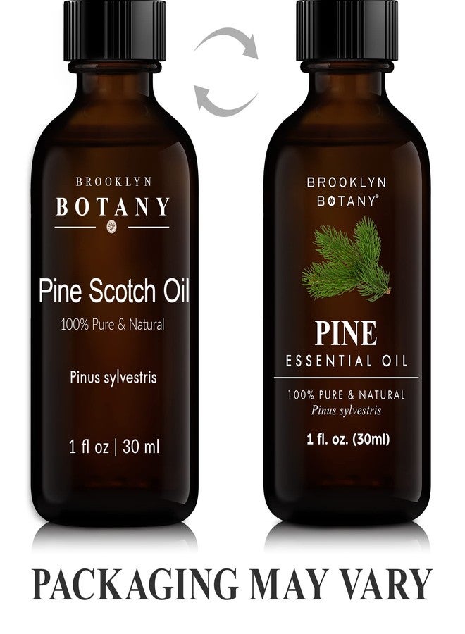 Brooklyn Botany Pine Essential Oil - 100% Pure and Natural - Premium Grade Oil with Dropper - for Aromatherapy and Diffuser - 1 Fl Oz - Image 4