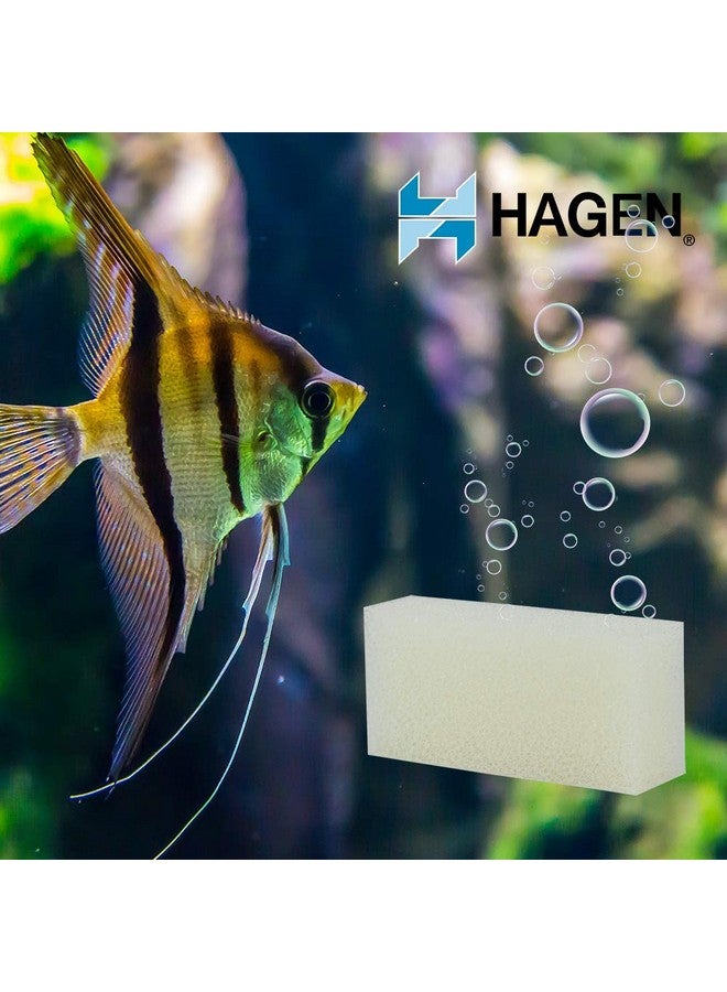 Aquaclear Aqua Clear AquaClear 50 Foam Filter Insert, Aquarium Filter Replacement Media, A613 - Image 2