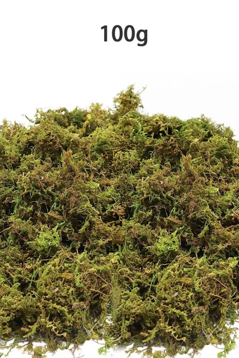 طحلب صناعي عالي الجودة 100 جرام - للديكور الداخلي والنباتات المنزلية، لون أخضر طبيعي لتزيين المكاتب والحدائق